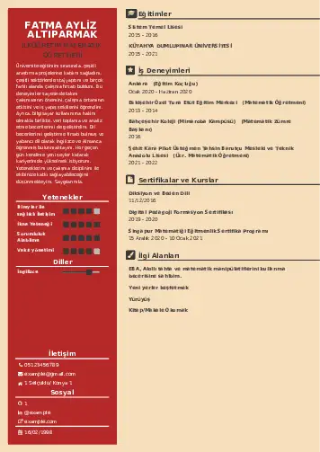 Matematik Öğretmeni Cv Örnekleri cv indir